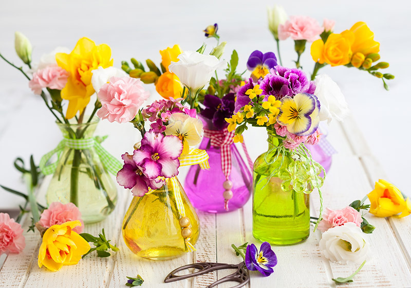 https://groveparkflorist.pro/blog/elevate-your-orchid-care-game/