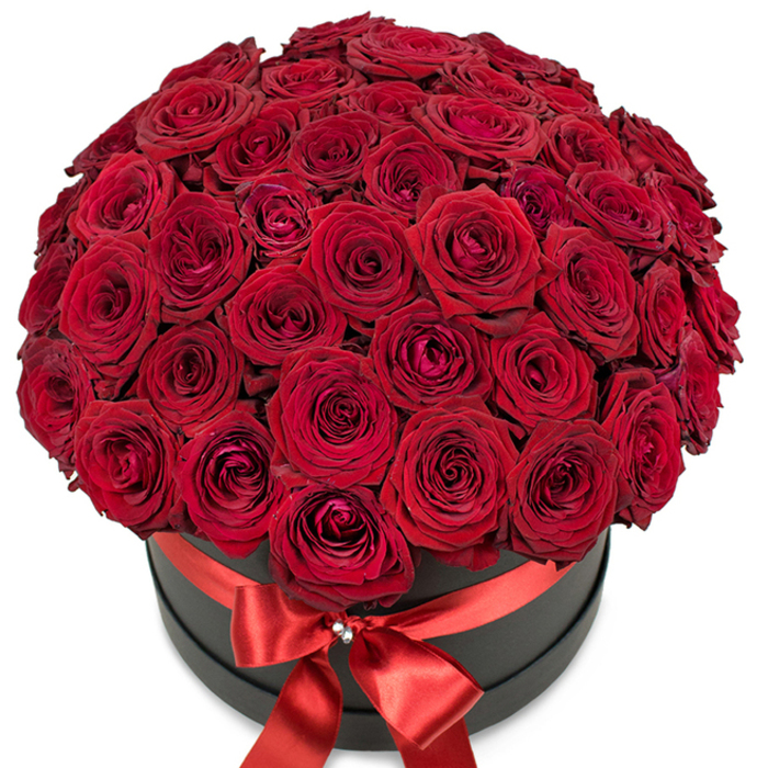 Bathed in soft light, a large and glorious display of deep red roses catches the eye-each bloom a marvel of velvety, layered petals, some tightly furled and others beginning to open with gentle promise. These premium roses are packed into a perfect, rounded dome, overflowing the top of a tasteful matte black hatbox that introduces stylish contrast and modernity. Around the box, a gleaming red satin ribbon is pulled taut, tied into an exquisite bow whose knot is embellished with a sparkling silver or crystal ornament that adds a special touch of luxury. Every detail-from the seamless arrangement of flowers to the artful drape of the ribbon tails-reflects the practiced hand of the Grove Park Florist team, renowned for quality floral designs near Chiswick and the River Thames. Against a perfect white background, the bouquet's striking form and vibrant hues are showcased, their visual energy evoking celebration, romance, and the cherished connections woven throughout Grove Park. This arrangement's imagined fragrance transports one to Grove Park's peaceful gardens, making it an exceptional gift for anniversaries, Valentine's Day, or any occasion calling for a statement of profound affection. Whether delivered to a local address or admired in a home filled with light, this luxurious bouquet calls to mind the elegance and community spirit found throughout the Grove Park neighbourhood.