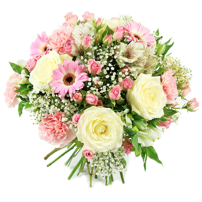 This photograph shows a beautifully balanced floral bouquet presented against a bright white background, which allows its pastel palette of creams, whites, and soft pinks to shine. Prominent cream and ivory roses sit at the centre, fully opened with opulent, velvety petals that spiral outward, embodying classic romance. Interspersed between them are stems of delicate pink spray roses, their tiny buds and small blooms layered closely together, creating a sense of abundance without overwhelming the eye. A small number of vibrant pink gerbera daisies stand proud within the mix, their broad, flat petals arranged in perfect circles around dark central disks, lending a lively, contemporary note that brightens the overall composition. Pale pink carnations, with their gently ruffled, multi-layered petals, introduce softness and volume, reminiscent of flowers often chosen for thoughtful gifts around Grove Park's family celebrations and gatherings. Threaded between these larger blooms are white alstroemeria blossoms, each petal etched with fine, russet-toned speckles, adding delicate intricacy and a hint of movement as they arch outward. Sprays of white gypsophila, or baby's breath, are generously woven throughout, filling spaces with clusters of miniature blooms that create a light, cloud-like veil over the more solid shapes. Fresh green foliage peeks from within, providing cool contrast and depth, echoing the leafy character of the neighbourhood's gardens and green spaces. The stems are neatly aligned and firmly tied at the base, signalling the professional touch of a skilled florist. The bouquet conveys a mood of gentle joy and refined affection, making it ideal for birthdays, anniversaries, or simply to brighten a home in Grove Park with a fresh, fragrant reminder of love and appreciation.