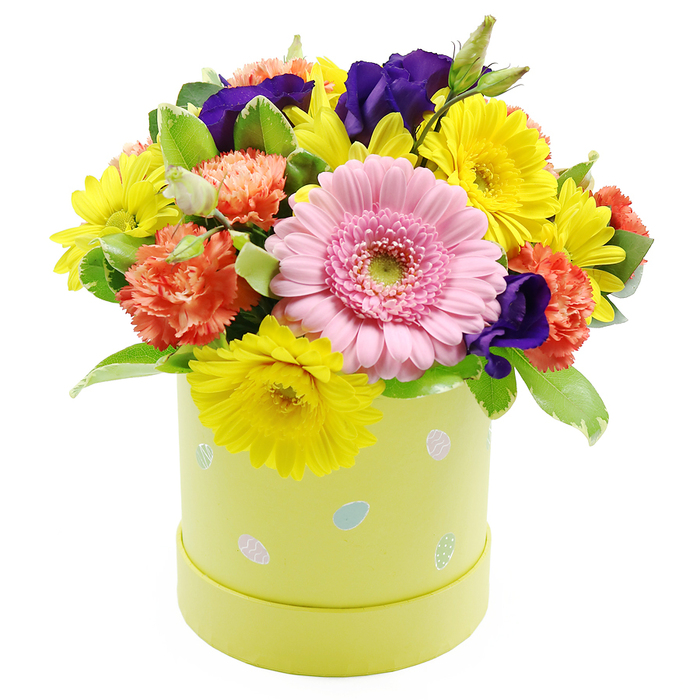 A vibrant Easter hatbox arrangement, rich with springtime hues, sits against a pristine white background, its colourful presence recalling the cheerful spirit of Grove Park's leafy streets. The bouquet is shaped into a generous, rounded dome, with each flower placed closely together so that the design reads as one continuous tapestry of colour. At the very front, slightly angled towards the viewer, lies a large soft pink Gerbera daisy, its many smooth, overlapping petals spreading around a pale green central disc, providing a calm yet eye-catching focal point. Around this bloom, clusters of sunny yellow chrysanthemum-like flowers form a halo of brightness, their narrow, radiating petals bringing to mind the sparkle of morning sunlight on the nearby Thames. Coral-orange carnations are scattered throughout, their layered, ruffled petals adding an inviting fluffiness and a warm, almost fruity undertone to the palette. Deep violet-purple lisianthus blossoms punctuate the design, their velvety texture and richer tone offering a dramatic contrast that enhances the surrounding colours. A variety of green foliage, some leaves plain and glossy, others accented with fine white variegation, weaves between the flowers, giving structure and a sense of natural movement, as if a soft breeze has just passed through. The entire arrangement is nestled into a cylindrical pastel lime-yellow hatbox container, smooth-sided and contemporary in shape. Around its surface, small pastel Easter eggs in shades of pale blue, pink, and white are scattered in a light-hearted pattern, some delicately speckled or striped, reinforcing the festive message of the piece. This bouquet feels ideal for an Easter meal, a spring celebration in a Grove Park home, or a surprise gift delivered to friends along Burlington Lane, radiating optimism and seasonal charm.