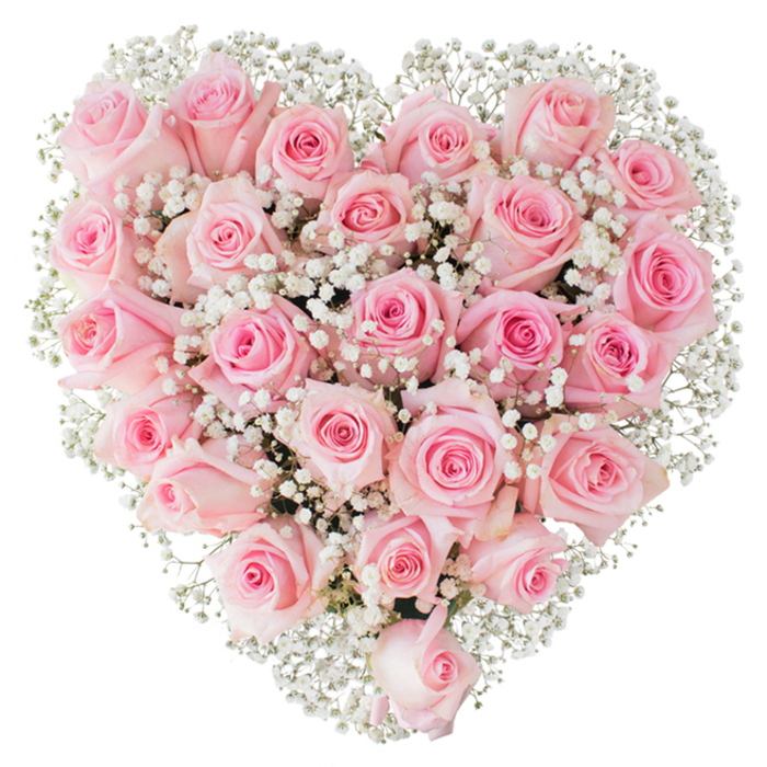 A meticulously formed heart of soft pink roses, densely arranged and softly rimed with white baby's breath, occupies the image against a clean white background, offering a serene and elegant visual statement. Each rose displays a slightly different blush-some petals whispering the palest pink, others holding a warmer, rosy centre-so the heart reads as a tapestry of gentle tones rather than a flat surface. The white Gypsophila weaves through the composition like a veil, its tiny starry blossoms creating delicate highlights and lifting the overall texture into something almost airy despite the bouquet's fullness. The lighting is bright and impartial, chosen to render every petal edge and tiny bloom in sharp relief, revealing both the lush velvet of the roses and the fragile, frothy quality of the baby's breath. As someone who arranges flowers daily at Grove Park Florist, I recognise the patience required to secure each stem so the heart remains perfectly proportioned while allowing natural variation in bloom stages-buds, half-opened cups, and fuller roses-to contribute depth and movement. The scent suggested by the image is a classic rose perfume, soft and comforting rather than cloying, appropriate for celebrations of love, wedding decor, anniversary surprises, or understated sympathy. This style is frequently requested for local delivery across Grove Park, into nearby Mottingham and Hither Green, where customers value the quiet dignity and affectionate symbolism of a heart-shaped rose tribute. The result is timeless, tender, and carefully crafted.
