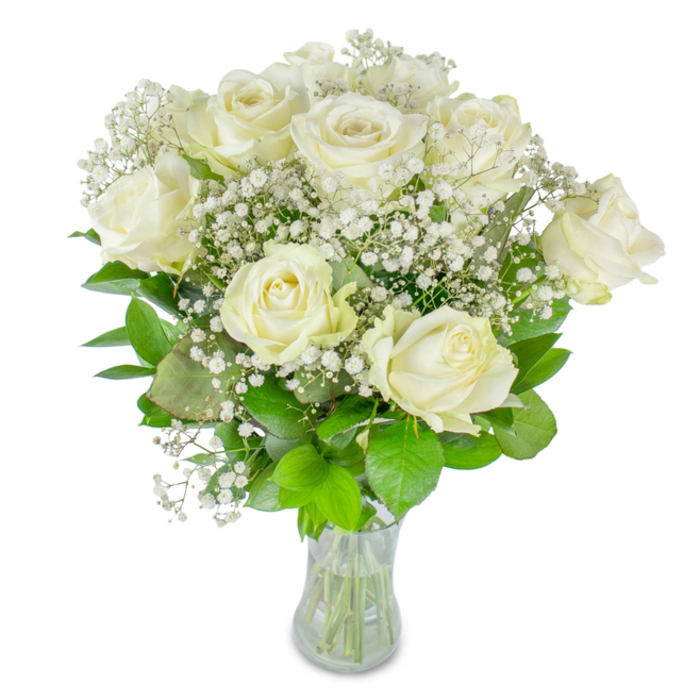 This classic arrangement of approximately twelve immaculate white roses paired with delicate sprays of baby's breath sits in a clear glass vase against a stark white background, described as if guiding a hand over each surface. The roses present a study in subtle gradation: creamy centers that open into broader ivory petals, some edges catching the slightest blush of shadow where the layers overlap. Between these principal blooms, clusters of Gypsophila form a lace-like matrix-tiny, bright-white dots that breathe air into the composition and create a soft, starlit texture around the roses. Deep green foliage cradles the flowers, its tonal range from dark, almost forest greens to lighter, fresher leaves that lift the arrangement visually; veins and satin sheens are visible on several leaves, offering tactile suggestion. The transparent vase reveals trim-cut stems and the clear waterline, reinforcing the sense of newly arranged freshness. Lit by diffused daylight, the whites appear almost luminous, a restrained, elegant presence suited to weddings, significant anniversaries, or moments of remembrance where quiet dignity is wanted. The imagined scent is gentle and restrained, leaning toward green and clean rather than heavy perfume-an aroma that might recall a morning walk along Baring Road or a pause beside Grove Park station on a soft spring day. From a florist's perspective this bouquet is a balanced composition: technical restraint married to emotional clarity, conveying purity, solace, and composed celebration.