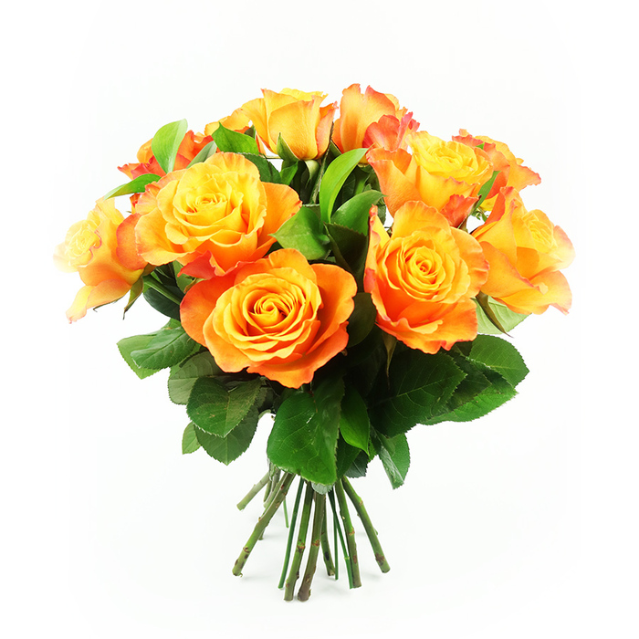A vibrant bouquet of bi-colour roses is shown here in sharp focus against a bright white background, the simplicity of the setting allowing every warm shade to glow. The bouquet contains around a dozen roses, all carefully gathered into a tight, rounded cluster that feels both abundant and balanced. Each bloom is fully opened, revealing a swirl of layered petals that start from a cheerful, lemon-yellow centre and gently darken into shades of gold, apricot, and vivid orange towards the tips. On some flowers, the very edges of the petals carry a hint of red-orange, like the last streaks of colour in the sky over Chiswick and Grove Park as evening falls. The petals appear velvety and soft, with ruffled edges that overlap one another, creating a plush, textured surface across the bouquet. Nestled among the roses are glossy, deep green leaves that provide structure and contrast, their cool tones evoking the leafy calm of nearby riverside paths. At the bottom of the bouquet, a bundle of straight, dark green stems is clearly visible, neatly cut and gathered as though the arrangement has just been prepared at a local Grove Park florist's worktable and is ready to be wrapped for delivery. The lighting is clean and diffuse, bringing out the natural gradients in the petals without creating harsh shadows. The mood of the arrangement is joyful yet soothing, an ideal choice for celebrating a birthday along Grove Park Road, marking an anniversary at home, or simply lifting someone's spirits with the bright, garden-fresh presence of roses.