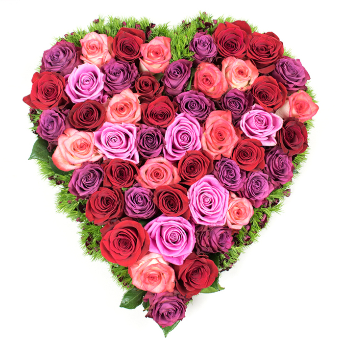 Aerially composed and impeccably formed, this heart-shaped floral design is a dense tapestry of roses that fills the silhouette from edge to edge with lavish colour and texture. The selection includes the deepest crimsons and wine-tinged burgundies, classic reds, blushing corals and pale pinks, alongside brighter fuchsias and soft lavenders that bring lightness across the surface; each bloom is at its prime, petals unfurled into soft spirals with a plush, velvety touch. The roses are arranged with close intimacy so there are no gaps - instead, a continuous, petal-rich field that reads as both opulent and tender. A slim border of fine, dark green foliage, reminiscent of maidenhair fern or a mossy underlayer, envelopes the heart and offers a fresh, restorative contrast that helps the colours sing while defining the shape precisely. Soft, even lighting from above produces gentle highlights on the topmost petals and shadowed pockets where tones deepen to almost purple, lending the composition solemn depth suitable for memorial settings; one can almost sense the quiet perfume of rose and earth rising from the arrangement. Intended as a strong emblem of feeling, this design works equally for declarations of romantic love, anniversary tributes, or as a consoling condolence piece laid at a service in and around Grove Park, Downham and Hither Green, conveying deep affection with meticulous florist craftsmanship.