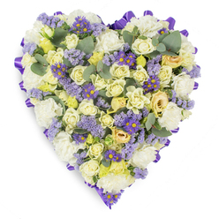 Seen under soft studio lighting, this heart-shaped floral tribute unfolds in gentle, muted tones: creams, pale yellows and whispers of lavender that together create a feeling of calm and consolation. At the center, numerous cream and pale yellow roses sit tightly budded and softly opening, their layered petals forming a plush, velvety surface that invites a contemplative touch. White carnations are tucked in between the roses, their ruffled edges adding body and a classic sympathy note, while clusters of lavender statice drift through the composition like memory-laced sprigs, lending a textured, almost wistful lightness. Bright purple daisy-like asters, each with a sunny yellow eye, scatter through the heart to provide small, bright accents that arrest the eye and warm the overall cool palette. Sliced into the arrangement at thoughtful intervals, rounded eucalyptus leaves introduce a silvery, blue-green tone and a crisp leaf texture that lifts the design and suggests a faint, refreshing aroma. A continuous purple satin ribbon, looped and neatly folded, traces the entire perimeter of the heart, sharpening the silhouette on the white background and adding an elegant, finished touch. The image speaks quietly of remembrance and respect, ideal for a funeral, wake or graveside service, offering both visual comfort and the tactile impression of careful, compassionate floristry performed with steady hands and an understanding of the language of sympathy.