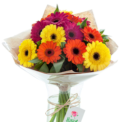This artful composition presents a striking bouquet of Gerbera daisies in a simple glass vase, a testament to expert floristry blending Grove Park's contemporary style with timeless tradition. Vividly coloured petals-glowing yellow, rich orange, and lustrous fuchsia-fan out around bold, dark central disks, evoking the vibrancy of fresh market mornings at Chiswick or walks along Bollo Bridge Road. Each flower's delicately ruffled edges offer a tactile invitation, softened by gently clasped green leaves that pierce through the arrangement, enriching it with layers and movement. The bouquet is thoughtfully cradled in textured brown kraft paper, adding an organic, artisanal touch that pairs beautifully with the protective glimmer of transparent cellophane. The arrangement's stems are visible through the vase's clean lines, their lower ends submerged in pure water, reinforcing the freshness so valued by Grove Park residents. A simple touch of twine, tied around the stems, suspends a subtle paper tag-just waiting for a personalized message of joy or gratitude. Flooded with natural light, the image emphasizes every shade and glint, casting gentle highlights that recall the uplifting spirit of Grove Park gardens in bloom. Ideal for celebratory moments, heartfelt gifts, or to brighten a room, this bouquet exemplifies local craftsmanship and the enduring charm of Gerbera daisies.