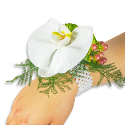 Nestled on a light-toned wrist and set against a bright white studio background, this wrist corsage reads like a quiet love letter rendered in flowers. The central Phalaenopsis orchid is immaculate white, its broad, satin-smooth petals opening like a small moon; at its heart the labellum glows with a concentrated wash of yellow that graduates into a warmer orange, giving the bloom a tiny sunlit centre. Surrounding the orchid, airy asparagus fern fans out in delicate, lace-like fronds that feel as though they might float away on the faintest breeze, creating a soft green halo. To one side, a tidy cluster of round Hypericum berries provides contrast and seasonal warmth: each berry moves in tone from pale green to blush and then to rich cranberry, introducing depth and a subtle rustic note. Interspersed lime-green ruffled foliage adds a contemporary flicker of brightness and texture. The piece is fastened on the wrist with a refined multi-strand bracelet of small white pearls; their gentle sheen and cool, tactile surface bring an heirloom quality that complements the modern botanical palette. Under soft, natural light the orchid's surface seems luminous and the greens read as fresh-cut, evoking a small local garden rather than a greenhouse. This corsage is suited to formal moments - prom, wedding, or anniversary - and carries with it the attentive hand of a neighbourhood florist who knows Grove Park, Baring Road and the surrounding Lewisham lanes, delivering pieces that feel personal and made to be worn.