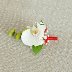A single, immaculate white phalaenopsis orchid forms the centrepiece of this elegant boutonniere, photographed resting on a softly woven, light beige linen background that echoes the understated charm of Grove Park's quiet residential streets. The orchid's petals are broad, silky, and luminous, curving outward like gentle wings, while its intricate throat reveals a wash of creamy yellow that blends into faint reddish-orange and tawny markings, hinting at the flower's natural complexity. Encircling the bloom, tiny white baby's breath blossoms create a soft halo, their clustered, cloud-like form lending a sense of delicacy and romance, as if the orchid is cushioned in a whisper of mist. To the left side, two vivid lime-green chrysanthemum pom-poms introduce a modern touch; their rounded, spiky textures offer a playful contrast, bringing fresh energy and a pop of colour to the composition. Beneath the flowers, a rich dark green leaf fans out, with a smaller leaf tucked beside it, adding structure and an organic, garden-picked feel that recalls early morning walks past local Grove Park gardens. The stems are gathered tightly and wrapped in a smooth, satin crimson ribbon, wound with the precision of an experienced florist and finished in a neat knot at the base, giving the piece a subtle flash of festive red. The overall mood is refined yet warm, ideal for a groom, best man, or prom guest seeking a classic orchid boutonniere with a contemporary twist, the kind of handcrafted detail you might choose for a thoughtful, locally inspired celebration in and around Grove Park.