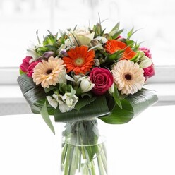This contemporary floral bouquet captures the relaxed elegance of Grove Park, merging dynamic orange and peach gerbera daisies with the timeless allure of deep magenta roses. The blooms glow under gentle, diffused light, their radiance reminiscent of a peaceful stroll along the nearby Thames Path. Carefully layered aspidistra leaves provide a dramatic, structured foundation, their glossy, paddle-shaped forms contrasting with the airy delicacy of the petals above. Interspersed lily buds and small white flowers weave between the statement blooms, offering freshness and a subtle complexity, akin to the diversity of Grove Park's gardens. The bouquet's fragrance-a medley of sweet rose, faint lily, and leafy green-evokes anticipation and calm. Hints of blush pink and petite white filler flowers add light-hearted depth. Encapsulated in a tall, clear glass vase, with lively stems visible beneath, this arrangement embodies the spirit of celebration and gratitude for which Grove Park Florist is renowned. Ideal for adding natural beauty to homes in Chiswick, Kew, or just off Grove Park Road, this bouquet is a testament to skilled design and warm, local sentiment.