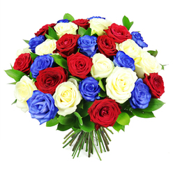 In this image, a lush, perfectly rounded bouquet of roses stands out with a bold red, white, and deep royal blue colour scheme, reminiscent of flags flying on special occasions in Grove Park. The bouquet is densely packed, with every bloom touching another to create a smooth dome of petals. The red roses are a rich, velvety crimson, giving the arrangement warmth and intensity, while the white roses are creamy and luminous, offering gentle contrast and clarity. Interwoven among them are vivid, royal blue roses, which introduce a striking modern twist and emphasize the patriotic mood of the design. Many of the roses are fully open, showcasing layered, spiral petals, while others are still partially closed, providing depth and a sense of fresh, unfolding life. Slender glimpses of dark green, glossy foliage appear between the flowers, adding structure and a subtle, natural frame that keeps the bouquet from feeling flat. The stems at the bottom are gathered neatly and cut to a uniform length, suggesting an expertly crafted hand-tied design ready for delivery across Grove Park and nearby areas like Strand on the Green. No vase or decorative bow is visible; the bouquet is presented in its pure, crafted form, focusing attention on the balance of colour and the richness of the roses. The effect is both uplifting and dignified-well suited to marking national celebrations, remembrance services, or special family gatherings where a floral tribute can quietly express unity, gratitude, and enduring affection.