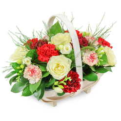 In this image, a thoughtfully composed funeral flower basket rests in front of a bright white backdrop, allowing every element of the design to stand out with quiet clarity. The basket itself is made from light, natural wood, its oval shape gently elongated and steadied by four discreet feet. A tall, curved handle sweeps over the flowers in a smooth arc that suggests protection and care, reminiscent of the peaceful corners of Grove Park where neighbours look out for one another. Within this frame, the arrangement is densely packed into a rounded dome that just spills over the edges, giving a sense of generosity without feeling overwhelming. Creamy white roses are scattered through the heart of the display, each rose in full bloom, its velvety petals unfolding in perfect spirals that evoke calm, grace, and solemn farewell. Nestled among them are deep red carnations, their abundant, frilled petals adding texture and depth, the rich crimson tones traditionally chosen to express enduring love and respect. Softer notes come from pale pink and white carnations, some flushed or edged with red, which lend a gentle, personal intimacy to the tribute. Threaded through the larger flowers are slender sprays of small white blossoms, likely freesias, with open bells and tight buds that introduce movement and the suggestion of a soft, comforting scent. A base of dark, glossy foliage cradles the blooms, while fine, feathery fern-like fronds emerge from the top and sides, adding lightness and a slightly wild, natural feel. Crafted with the attentive eye of an experienced Grove Park florist, this basket is well suited to rest by a casket, stand beside a photo at a memorial, or be delivered to a family near the station as a quiet, fragrant reminder of support.