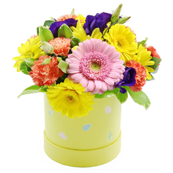 A cheerful Easter hatbox design overflows with colour and texture, captured against a simple white background that lets every detail of the flowers shine, much like the clear views across Grove Park on a sunny afternoon. The arrangement is tightly composed into a rounded, domed shape, creating a sense of abundance and careful craftsmanship. At the centre is a striking light pink Gerbera daisy, its numerous slender petals arranged in tidy rings around a fresh green eye, giving the bouquet a friendly, expressive focal point. Surrounding this central bloom are bright yellow chrysanthemum-style flowers, their daisy-like petals stretching outward in layered rays that suggest warmth and happiness. Coral-orange carnations appear throughout the composition, their frilled, ruffled petals adding softness and depth, almost like small, textured clouds within the design. Rich violet-purple lisianthus blooms peek between the brighter colours, their deep tones introducing a sophisticated contrast and a sense of quiet elegance. A variety of green foliage fills out the base and sides, including some leaves with subtle white variegation along the edges, which adds a gentle brightness and natural movement. All the flowers are gathered into a pastel lime-green cylindrical hatbox, whose surface is adorned with playful pastel Easter eggs in pale blue, pink, and white, some decorated with tiny spots or stripes that give a whimsical, festive air. The container feels like a keepsake box you might display on a shelf in a Grove Park living room. This floral piece is perfect for an Easter table, a spring birthday, or a thoughtful "thinking of you" delivery to someone nearby, bringing a burst of seasonal joy straight to their doorstep.