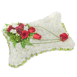 A carefully composed rectangular mourning pillow, photographed on white so every textural detail reads clearly: the surface is densely packed with tiny snow-white chrysanthemum heads, creating a plush, velvety expanse that suggests peace and quiet rest. A neat border of pale green ribbon peeks out along the raised edges, adding a fresh, finishing line that catches the light. On the upper-left corner an intentional, lush spray brings colour and emotion-deep red roses, some tightly furled and others opening, set beside dark red carnations whose layered frills add body and shadow. Interspersed are small white freesias or spray blooms that introduce lightness and a subtle citrus-sweet perfume. The florist's hand is evident in the use of varied foliage: glossy leaves, soft fern fronds and delicate stems that give depth and a natural silhouette. Three sweeping strands of bright green bear-grass or ribbon arch from the corner cluster across the white chrysanthemum field to the lower right, terminating in a single perfect red rose that reads like a quiet dedication. The soft lighting highlights petal edges and the cushion's gentle curves without harsh contrast. As a local member of the Grove Park community, this piece is the kind of dignified memorial we prepare for services near Grove Park station, Chinbrook Meadows or local church halls; it carries a restrained fragrance and craftsmanship meant to offer comfort and respect. Available for sympathy orders across Grove Park and nearby neighbourhoods, it embodies traditional condolence with careful, considered detail.