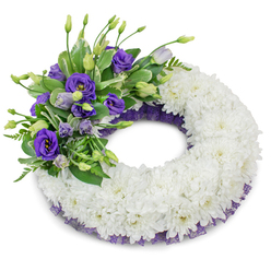 Presented on a pure white background, this circular sympathy wreath is formed from a dense ring of immaculate white cushion chrysanthemums, each bloom closely set to create a plush, uniform surface that evokes calm and purity. The upper-left quadrant is graced with a lush accent of purple Eustoma (Lisianthus): several fully opened deep violet blossoms with delicate yellow centres sit alongside softer lavender buds and thin, upright stems, producing a layered, velvety contrast against the white. Interspersed foliage - glossy variegated leaves and slender, feathery fronds - introduces cool green tones and gentle texture, helping the purple cluster sit naturally atop the chrysanthemum base. A subtle border of crinkled dark purple mesh or lace is visible along the wreath's inner and outer edges, the fabric's fine weave offering a quiet, elegant framing detail that complements the lisianthus without competing with the overall serenity. The lighting is soft and even, casting a gentle shadow beneath the wreath so the circular form reads clearly against the backdrop. As a local florist in Grove Park, Grove Park Florist often crafts this kind of tribute for services around Grove Park station, Chinbrook Meadows and neighbouring Hither Green - designed to express heartfelt condolences, to sit simply beside a casket or to be laid at a graveside. The arrangement's scent is faint and clean; the visual impression is one of respectful stillness and composed remembrance.