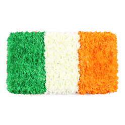 From the workshop of Grove Park Florist, this flag-inspired tribute unfolds in petals and light. A rectangular arrangement of the Irish Tricolour-green, white, orange-carefully assembled from thousands of tiny blossoms, each chosen for size, hue, and resilience to last through day or ceremony. The left stripe is emerald green, a plush carpet of tiny blossoms-green carnations or chrysanthemums-that builds a tactile, gently undulating surface. The center stripe is white, a cloud-soft band of tightly clustered petals that divides the colors with a quiet breath. The right stripe glows orange, mirroring the others in texture and density, crafted from small orange blooms-marigolds or orange chrysanthemums-creating a warm finale. The white background ensures the colours pop, making the flag feel both festive and dignified, ready to accompany a civic event or a private moment of reflection. In the air around this arrangement, you might imagine spring mornings along Grove Park's leafy streets and the village high street, where neighbours gather to celebrate community. We can offer same-day delivery, bringing this handcrafted symbol to doorsteps across Grove Park and nearby towns, preserving freshness and perfume in transit. The piece invites a sense of unity, heritage, and shared memory, a floral narrative that speaks to identity without shouting.