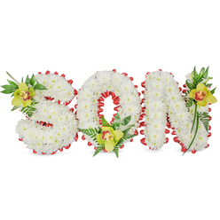 Rendered with the care of a local artisan, this three-dimensional funeral tribute spells out 'SON' in bold letters formed entirely from tightly packed white chrysanthemums, their soft, cloud-like heads creating a uniform, sculpted surface that feels both pure and consoling. A bright red ribbon is artfully looped along the perimeter of each letter and within the 'O', folded into delicate scallops that punctuate the white with a poignant ribbon of colour - a visual shorthand for love and remembrance that reads clearly even from a distance. Each letter bears an accent of lime-green cymbidium orchids, their waxy petals tinged with pale yellow-green and a delicate orange-reddish throat; the orchids are positioned with floral intention at the S's upper left curve, the base of the O, and the upper right of the N, surrounded by lush, varied green foliage and fine fern fronds that soften the silhouette. The ensemble sits on a clean white field so the textures - from the chrysanthemums' velvety clusters to the orchids' glossy sheen and the fern's feathery fronds - remain the focal story. In the quiet light of a funeral chapel or a graveside near Grove Park station or Chinbrook Meadows, the piece conveys dignity and warmth. Crafted to comfort, this arrangement is a familiar, heartfelt choice for families in Grove Park and surrounding streets; Grove Park Florist can replicate this bespoke memorial with the same attention to balance, scent, and seasonal freshness.