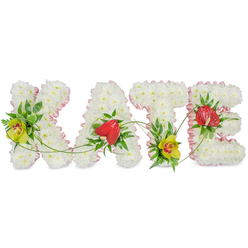 The photograph presents a beautifully composed funeral flower tribute spelling KATE in large capital letters, positioned against a plain white backdrop that throws all attention onto the flowers themselves. Each letter is densely filled with pristine white chrysanthemums, their tightly clustered blooms giving a soft, cushioned effect that feels both comforting and respectful. A narrow border of light pink ribbon wraps around the outside of each letter, its ruffled edge and subtle sheen adding a touch of elegance and femininity, as though gently cradling the name. On the K and T, lime-toned cymbidium orchids with deep red centres emerge from pockets of rich green foliage, their exotic shape and colour drawing the eye without overwhelming the calm white base. The A and E each carry a single red anthurium bloom, heart-shaped, polished, and slightly elevated, acting like bright, steadfast beacons of love and remembrance among the softer textures. Threaded through and between the letters are slender green vines and fern-like fronds, curving lightly across the chrysanthemums and linking the designs so they read as one continuous tribute rather than four separate pieces. The overall mood is one of serene beauty and quiet emotion, suitable for a thoughtful farewell in Grove Park, whether displayed by the coffin, at the front of a chapel, or in a more intimate gathering at home. It feels like the work of a florist who understands the local community and the importance of marking a life with flowers that reflect both personality and dignity.