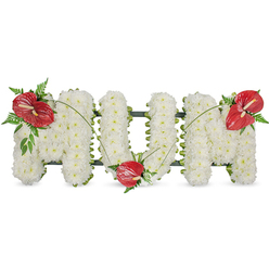 This arrangement captures a quiet, consoling memory: the word MUM spelled out in solid, three-dimensional letters and set against a plain white field. Each letter is formed from hundreds of small white spray chrysanthemums, chosen for their fullness and pure tone so the overall surface feels soft like a folded blanket of blooms. The chrysanthemums' tightly furled petals create a uniform, velvety plane that invites a calm, respectful gaze, while subtle shadowing between the clusters gives the letters a gentle sculpted quality. Intervening the white are three dramatic red anthuriums-heart-shaped, glossy and tropical-that serve as focal punctuation: one placed on the upper left of the first M, the second tucked into the lower curve of the U, and the third adorning the upper right of the last M. Each anthurium carries a pale white-yellow spadix and sits amidst sprays of dark green foliage, from delicate fern fronds that soften the composition to broader leaves that add weight and contrast. Thin, arching green blades connect the red blooms visually, sweeping across the white letters and unifying the tribute with a quiet rhythm. A discreet dark green frame holds the letters' edges, visible in places, giving the work structure without disrupting the solemn mood. Prepared with the thoughtful restraint often requested for funerals and memorials, this piece would be fitting for services in local chapels around Grove Park and Lee, offering a sincere expression of love, remembrance and comfort in a time of loss.