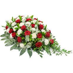 This image presents a tastefully arranged sympathy spray, photographed on a pure white background so that every colour and contour stands out with quiet clarity. The design stretches from left to right in a softly tapered arc, beginning broad and lush at one end and narrowing gracefully at the other, suggesting a peaceful transition and farewell. Deep red roses are scattered throughout the arrangement, their velvety petals compact and rich, symbolizing deep love and remembrance. Around and between them, white carnations cluster in ruffled, cloud-like puffs, their bright, clean tone gently balancing the passion of the roses with serenity and hope. All of the blooms are nestled into an abundant bed of greenery. Dark green leaves, smooth and slightly glossy, create the main structure beneath, giving the spray a composed and grounded silhouette. Tucked among them are lengths of silvery eucalyptus foliage that bring a cool, muted green into the mix, providing extra texture and a soft, aromatic presence. On the right side, feathery sprigs of trailing greenery extend outward, adding lightness and the impression of natural movement, as though the arrangement were reaching gently forward. The overall feeling is one of heartfelt condolence and respectful honour, ideal for adorning a casket or placed by the front of a chapel in Grove Park. It is easy to imagine this piece delivered to a local service near Chiswick or placed after a quiet gathering in a Grove Park home, offering a floral focus for shared memories and final goodbyes.