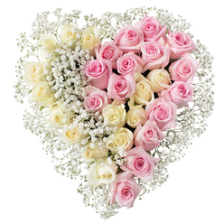 Large heart-shaped arrangement of roses and baby's breath, crafted as a thoughtful funeral or memorial tribute and shown on a clean white background where every petal can be seen. The heart itself is perfectly formed, with a clear vertical divide running down the middle, almost like two hands coming together or two lives intertwined. On the left half, a dense gathering of creamy white and very pale yellow roses fills the space, each flower opening in soft, layered spirals that create a calm, luminous surface. On the right half, the same generous placement of roses appears, but in a gentle medium pink shade, bringing warmth and an affectionate glow to the design. Throughout the heart, tiny white gypsophila blooms nestle between the roses, softening any harsh lines and adding a subtle, feathery texture, while a border of more baby's breath wraps around the outer edge, giving the piece a halo-like frame. The arrangement feels professionally composed, as if created earlier that day in a Grove Park florist's studio for a service at a nearby church or crematorium. Its balanced palette of ivory and pink, combined with the abundance of blossoms, expresses tenderness, respect, and lasting connection. This is the kind of tribute that might rest near the front of a chapel or by a photograph of the loved one, quietly reflecting the love of family and friends from Grove Park and the surrounding neighbourhoods who have gathered to say goodbye.