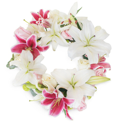 Bathed in soft, even light, this luminous floral wreath-crafted with heartfelt expertise by a Grove Park florist-emerges against a pure white backdrop. The circle is anchored by a plentiful array of elegant white Oriental lilies, their broad, unfurled petals casting a tranquil air and opening to reveal slender greens at their core. Scattered among them are rich fuchsia pink Stargazer lilies, their star-shaped blooms bright and bold, adorned with splashes of deep magenta and subtle speckling that speak of cherished memories and enduring affection. Tucked delicately between the more prominent forms are flushes of soft blush and ivory white roses, their petals curled and layered-some edging towards full blossom, others nestling in promise-offering gentle softness and layers of visual and emotional texture. Gentle green leaves and understated eucalyptus add fresh, calming notes that echo the landscape of Grove Park, lending both structure and a sense of groundedness. The wreath's seamless circular shape represents unity, everlasting love, and the support of a trusting community. Ideal for commemorating a life, showing sympathy, or marking a moment of reflection, this arrangement embodies the artistry and compassion found in Grove Park's most respected local florists.