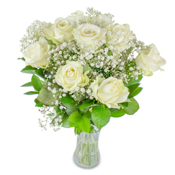 Against a pristine white background, a composed bouquet of near-twelve creamy white roses and cloud-like baby's breath rests in a plain clear glass vase, each element described with intimate attention. The roses vary from tight buds to fully unfurled blooms, their petals milky and satin-smooth, curling outward in delicate layers that catch the soft natural light. Interwoven throughout are countless tiny white gypsophila blossoms, their fine, starry clusters creating an ethereal veil that softens the roses' solidity and imparts a feeling of lightness, as if a gentle mist were holding the composition together. Lush green leaves-from deep, cool emeralds to brighter chartreuse tips-frame the arrangement, providing depth and a lively contrast to the whites; some leaves are broad and glossy, others more textured, all contributing to the bouquet's sculptural balance. The glass vase reveals trimmed stems and a clear water level, details that suggest careful preparation and freshness. The overall mood is tranquil and refined, a bouquet that reads both celebratory and consoling, suitable for anniversaries, thoughtful gifts, or serene ceremonial use. The faint floral aroma imagined here is clean and green, like a walk through a sunlit path near Grove Park Nature Reserve at first light. I picture this arrangement on a mantelpiece or beside a place-setting-an understated, classic composition that radiates gentle grace and considered craftsmanship from a florist who knows the local neighbourhood's quieter moments.