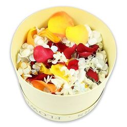 In this minimalist yet emotive image, a cylindrical cream-yellow box sits centre frame against a pure white backdrop, brimming with a rich, layered mix of dried flower petals and tiny blossoms. The box, similar to a small hatbox you might find in an artisan shop near Grove Park station, features a discreet debossed inscription reading FLOWERS along the rim, its letters catching the light at certain angles. The petals within form a softly domed surface that spills just above the edge, creating a sense of generosity and care. Deep crimson rose petals dominate the palette, their velvety surfaces and gently curled edges hinting at soft textures and faint, lingering fragrance. Bright yellow petals burst through in small arcs of colour, while warm peach-orange tones weave between them, evoking the gentle glow of evening light over nearby Chiswick. Among these larger petals, countless tiny white and pale blue hydrangea florets are scattered, their delicate, paper-thin petals gathering into tiny clusters that bring a feather-soft contrast. The overall impression is of a curated petal blend meant not only to be seen, but to be touched and shared-ideal for scattering along a memorial path, surrounding a photograph at a wake, or filling small cones for guests at a funeral service. The crisp white background and focused composition suggest a professional florist's hand, inviting families in Grove Park to imagine how this tender mix of colours and textures can bring comfort and beauty to a farewell, capturing both the richness of a life remembered and the softness of a loving goodbye.