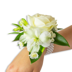 Crafted with the steady hand of a local florist and pictured on a light-skinned wrist against a pristine white backdrop, this wrist corsage reads as an intimate study in white and green. The central element is a creamy ivory rose, its petals unfolding in layered softness that feels almost tactile. Just below and slightly to the left, a trumpet-shaped white bloom, reminiscent of alstroemeria, opens to reveal a soft lime-green throat that adds depth and a whisper of colour to the otherwise monochrome palette. Tiny pockets of fresh green buds punctuate the silhouette, promising movement and life, while airy clumps of Baby's Breath scatter like miniature clouds, softening edges and enhancing the corsage's romantic rhythm. A delicate cluster of daisy-like white florets with sunny yellow centers sits near the base, lending a playful, vintage touch. Rich, broad green leaves with a glossy finish are woven through the flowers, giving structure and a lush contrast to the pale blossoms. The arrangement is anchored by a chic multi-strand pearl bracelet; the cool, smooth beads hug the wrist and add a classic, tactile luxury. I often assemble pieces like this for weddings around Grove Park station and nearby Chinbrook Meadows, where brides and guests favour restrained beauty over extravagance. The scent is faint and fresh - a soft, powdery floral note - and the overall effect is one of refined celebration, perfectly suited to prom evenings, civil ceremonies or understated gala affairs.
