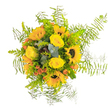 This Grove Park bouquet exudes the gentle warmth of a late afternoon along the river, filled with golden rays and the promise of celebration. At its heart, majestic yellow sunflowers with expressive, dusky centres share space with velvety yellow roses, their buttery petals brushing softly against vivid orange-red blooms reminiscent of hypericum berries. Sprigs of cooling eucalyptus and lush asparagus fern soften the arrangement's shape, lending an almost untamed edge that echoes Grove Park's secret gardens. Every flower is chosen for texture as well as colour: the firmness of the sunflowers, the silkiness of each rose, and the frothy softness of feathery fronds evoke both comfort and energy. Whether placed in a bustling kitchen overlooking Strand on the Green or delivered to a loved one on a special occasion, this bouquet is an invitation to embrace the light, joy, and tranquillity inherent in Grove Park's beloved neighbourhood.
