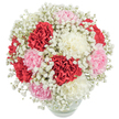 This luxurious bouquet, inspired by the timeless charm of Grove Park, is a radiant blend of tradition and emotion. Cradled in a clear, rounded vase, an artful mix of red, soft pink, and creamy white carnations unfolds with abundant, ruffled petals, evoking memories of tranquil afternoons by Dukes Meadows. A gentle haze of pure white baby's breath weaves throughout, softening the rich colours and lending a touch of dreaminess reminiscent of sunlight filtering through leafy trees along Fauconberg Road. Captured under bright, even lighting against a pristine white background, the bouquet exudes freshness and exuberance, inviting you to pause and appreciate its delicate craftsmanship. This joyful arrangement is made for the occasions that matter in Grove Park-whether welcoming a new arrival, offering congratulations, or communicating heartfelt thanks to a dear neighbour. The thoughtful balance of hue, texture, and form transforms any space, carrying the affectionate spirit of Grove Park Florist into every home it graces.