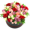 The image shows an exquisite, dome-shaped bouquet of roses presented in a dark, round hatbox-style container, set alone against a brilliant white background that makes the colours appear vivid and true. The hatbox is a deep, inky black with a slim, contrasting red trim hugging its base, giving it a sleek, modern look, as if chosen for a stylish home on the quiet streets around Grove Park. Overflowing from the box is a tightly composed mass of premium roses, carefully arranged to create a lush, rounded silhouette. Dominant among the blooms are large, velvety red roses, their rich, crimson petals symbolising passion and devotion. These are beautifully complemented by gentler tones: soft light pink roses, possibly including spray varieties with multiple smaller heads, sit alongside elegant peach and coral roses that add warmth and tenderness. Creamy white roses or similar blooms bring brightness and lift to the palette, scattered like highlights throughout the arrangement. Interspersed among them are subtle hints of lavender and pale purple flowers, lending cool, romantic notes that balance the stronger reds and pinks. Slender stems of lush green foliage-likely ruscus or eucalyptus-are tucked artfully between the roses, their smooth, elongated leaves offering fresh green accents and framing the petals. The bouquet is densely packed, with very little space between blooms, creating the sense of a generous, luxurious floral gift designed to make an immediate impact on arrival, whether at a doorstep near the local park or as a centrepiece at an intimate dinner. Soft, even lighting enhances the natural textures and shades, giving the arrangement a feeling of freshness and quiet opulence suitable for anniversaries, Valentine's Day, or any heartfelt celebration in and around Grove Park.