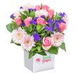 Bursting with energy and charm, this cheerful floral display is carefully designed in a contemporary white square pot, bringing a touch of Grove Park's community warmth into any room. The vivid pink roses, a signature of seasonal abundance, are set off by pastel pink gerbera daisies whose plentiful petals and subtle yellow centers shimmer in the light, reminiscent of the blooms spotted throughout Grove Park's residential gardens. Feathery purple clusters of limonium provide a vibrant counterpoint, accompanying fluffy white filler flowers-possibly spray carnations or miniature chrysanthemums-that lift and brighten the composition. Glossy, deep green leaves peek out between the blossoms, infusing freshness and evoking the lush lawns and pathways of Dukes Meadows. The pot's minimalist design is playfully accented with a small red ladybug and the script 'Little stars,' lending a hint of camaraderie and a nod to Grove Park's friendly atmosphere. Set before a white background, the colors and textures come alive, making it an ideal arrangement for birthdays, get-well wishes, or simply to convey care to loved ones nearby. This bouquet, available for delivery across Grove Park, delivers both the artistry and heartfelt intent that define a truly local florist.