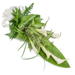 A vertically oriented, hand-tied cascade of creamy white Calla Lilies and layered greens, photographed on a clean white background so every texture reads clearly. Several trumpet-shaped Calla blooms, their satin-smooth, waxy petals curved inward and angled gently down to the right, form the arrangement's refined focal line. Those sculptural stems are cushioned and contrasted by a variety of foliage: broad, deep emerald tropical leaves folded and wrapped to create a sweeping base, feathery fern fronds that thread delicate shadows between larger forms, and narrow, grass-like blades that arch to give a sense of movement. Variegated, striped leaves in pale green and cream brighten the mid-section, while frothy clusters of small, light-green sprigs nestle like soft fillers in the crevices. A large, off-white linen-like ribbon is tied into a simple bow at the upper left, its woven texture adding an organic, tactile note against the lilies' smoothness. The lighting is soft and even, emphasizing subtle highlights on the calla petals and the glossy sheen of the foliage, suggesting a cool, calm morning in a neighbourhood studio. The overall mood is one of quiet dignity and modern simplicity-equally suited to a contemporary wedding, a tasteful sympathy tribute, or a serene decorative accent. As a local piece of Grove Park floristry sensibility, this bouquet feels handcrafted and thoughtfully balanced; imagine it carried from a studio near Grove Park station or placed on a lectern at a small ceremony in the area, radiating understated elegance and a gentle green scent of fresh cut leaves.