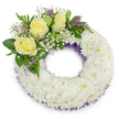 A peaceful, circular funeral wreath sits centered against a clean white backdrop, its form measured and gently reverent. The body of the wreath is composed of hundreds of small, pristine white chrysanthemums packed so closely that their ruffled petals form a plush, cloud-like ring; the texture reads soft and cool, like layered silk, catching a soft, even light that casts a subtle shadow beneath the arrangement. Through the dense white surface a whisper of pale purple netting or ribbon peeks out along both the inner and outer edges, giving the circle a quiet, elegant frame and a faint depth that keeps the composition from feeling flat.

At the upper-left curve a considered spray lifts the eye: three creamy yellow roses open in calm bloom, their velvety petals unfolding with a gentle warmth that speaks of friendship and remembrance. The roses are surrounded by airy clusters of white baby's breath and tiny sprigs of lavender-hued statice, which add a delicate, lacy contrast and a whisper of colour against the white chrysanthemum field. Varied green foliage - broad glossy leaves and fern-like fronds - fans around the cluster, their fresh, leafy scent imagined behind the flowers and giving the tribute a living, sheltering quality. As a local design often chosen for memorials at Grove Park's community chapels or nearby cemeteries, this wreath feels both dignified and tender, a comforting visual statement of sympathy and quiet honour crafted with close attention to texture, colour, and balance.