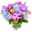 In this image, a hand-tied bouquet is displayed against a plain white background, its colours and forms arranged with obvious care and artistry. Vanda orchids provide the most dramatic notes, their large, slightly cupped petals saturated in deep magenta and fuchsia shades, intricately dusted with tiny white speckles that give each bloom an almost patterned, textile-like quality. These orchids nestle among and rise above generous clusters of sky-blue hydrangeas, whose many small florets blend into rounded, soft-looking heads that lend the bouquet a plush, cloudlike volume, reminiscent of calm blue skies arching over Grove Park's leafy streets. Interwoven with the hydrangeas are roses that shift the mood from playful to romantic: bright orange roses, their petals opening in spirals of warm colour, suggest celebration and joy, while dusky lavender and mauve roses offer a more gentle, contemplative beauty. Delicate spires and sprigs of darker blue accent flowers, similar to delphiniums, push upward from within, adding height, texture, and cool depth. Around the outer edge, lush green foliage with broad, smooth, glossy leaves wraps the composition, framing the brighter petals and providing a refreshing, garden-like feel, as if the bouquet had been gathered just moments earlier from a well-tended Grove Park garden. At the bottom, the stems are clearly visible, neatly trimmed and securely tied into a compact, domed hand-tied style that reveals the florist's skilled hand. The overall impression is one of joyful elegance and modern luxury, perfect for gifting on birthdays, engagements, or simply to bring a touch of refined colour into everyday life in Grove Park.