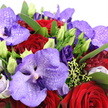 The image presents a lavish bouquet in intimate detail, a tapestry of purples and reds that would suit a romantic evening or celebratory dinner in Grove Park. Dominating the composition are dramatic Vanda orchids, their wide petals tinted in layers of lavender, light violet, and saturated purple, delicately overlaid with darker speckles that create an almost star-splashed effect. These exotic flowers appear to float above the rest of the design, their silky surfaces catching the light and drawing the eye. Surrounding them, plush crimson roses form tight, spiralled blooms, the densely packed petals softening into velvety curves, their rich red tones bringing warmth and intensity to the cooler orchid hues. Threaded amongst the orchids and roses are royal purple lisianthus, some flowers fully open with gently frilled edges, others poised as slender buds coloured with hints of lime green at the tips, evoking the promise of tomorrow's blossoms. All of this rests on a cushion of lush emerald foliage, with overlapping leaves creating a structural base that frames the brighter blooms, much like the greenery framing the quiet residential streets of Grove Park. Fine strands of chartreuse filler and small, bead-like green accents peek through, brightening the composition and giving it an intricate, layered quality. Soft, natural light washes across the arrangement, heightening the sheen of orchid petals, the velvety depth of roses, and the crisp freshness of the greenery. The overall impression is one of refined opulence and tender emotion, a bouquet that would make a memorable anniversary, birthday, or romantic gift, lovingly arranged by Grove Park Florist for local delivery.
