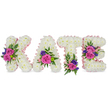 A tender, freestanding floral tribute spells KATE in four upright, three-dimensional letters crafted from a dense carpet of pristine white chrysanthemums. Each letter-K, A, T and E-reads like a soft, plush panel: thousands of tiny white petals pressed closely together to create a uniform, cloud-like texture that invites a reverent touch. A pale pink satin ribbon traces the outer and inner contours of every character, catching the light with a gentle satin sheen and lending a faint blush to the cool white surface. Against this quiet backdrop, clusters of vivid accent blooms punctuate the composition: large, velvety fuchsia-pink roses sit beside smaller pastel pink spray roses, while deep purple or blue florets-likely statice or lisianthus-add pinpricks of solemn colour. On the K a prominent cluster rests along the diagonal stroke; the A is softened by a spray near its lower right curve; the T bears a grounded grouping at its base; and the E shows two well-placed clusters on the middle and bottom bars. Each grouping is framed with mixed foliage-feathery fern fronds, smooth-surfaced eucalyptus leaves and glossy greenery-introducing cool, herbal notes of texture and form. Under soft studio lighting the arrangement reads as both comforting and dignified: cool white, a whisper of pink, bold fuchsia and deep purple harmonise into an expression of love and remembrance. The scent is a subtle rose-sweetness threaded through green, leafy freshness. This bespoke name tribute, suitable for a funeral, memorial or celebration of life, carries a personal message of honour and quiet consolation, hand-designed with thoughtful floristry craftsmanship for family and friends in Grove Park and the surrounding neighbourhoods.
