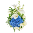 A serene, vertically presented bouquet set against a pure white backdrop, composed to feel like a hush of early morning by a Grove Park florist. At the centre sits a dense, rounded dome of deep blue hydrangea - a plush, almost cloud-like mass of tiny, jewel-toned florets that immediately anchors the design. Rising with quiet poise are three sculptural white calla lilies, their smooth, waxy trumpets curling in graceful arcs and revealing slender yellow spadices that catch the soft studio light. Scattered between these architectural forms are creamy white roses, each layered petal unfolding with classic softness, and tall spikes of white stock that add vertical movement and an airy, perfume-suggestive texture. The composition is held together by lush greenery: broad, glossy leaves that give weight and contrast, and feathery leatherleaf-style fern fronds that lend delicate, intricate texture along the edges. The overall palette - crisp whites against vibrant blue and deep green - reads as both modern and timeless, evoking the tranquillity of a neighbourhood walk near Grove Park Nature Reserve or the calm of an early tea on Baring Road. The bouquet's subtle scent is imagined as clean and comforting, a light green note with a faint sweet undercurrent from the roses and stock. Crafted with restraint and confidence, this arrangement is suited to moments that ask for dignity and quiet beauty - sympathy, a thoughtful anniversary, or to offer calm encouragement - and it reflects the attentive hand of a local designer familiar with Grove Park's gentle character.