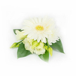A compact, elegant corsage photographed on a clean white background, its palette of creamy whites and deep green feeling quietly celebratory. At the centre sits a large, fully open white Gerbera daisy, its smooth, feather-like petals radiating around a sunlit yellow-green central disk that gives the piece a fresh, optimistic pulse. Around and beneath the Gerbera, soft Eustoma (Lisianthus) blooms and buds curl with frilled edges in buttery ivory and pale lemon tones, some partially unfurling to reveal layered, satiny petals and others held tight as slender, light-green promise. A small, layered white chrysanthemum peeks from the upper right, adding gentle fullness and a note of textured layering. Broad, glossy emerald leaves cradle the cluster, their waxy surface and deep green veins providing a restful backdrop that heightens the whites and creams. On the right, a few tiny pearl beads are tucked discreetly among the foliage, catching the soft, diffuse studio light and suggesting this piece's suitability for formal wear-pinned at a lapel or tied to a bouquet handle. The overall composition curves naturally, as though gathered straight from a garden border near Grove Park station and arranged with the same care local brides and families expect in Grove Park and the surrounding Lewisham neighbourhoods. The lighting is gentle and cool, the surfaces appearing slightly dewy; you can almost imagine the faint, clean scent of cut greens and fresh petals. This refined little arrangement reads as a quiet, tactile promise-perfect for weddings, anniversaries, or any intimate celebration in and around Grove Park.