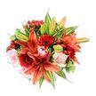 Seen from slightly above against a crisp white backdrop, this hand-tied bouquet reads like a warm, comforting embrace - a densely packed composition of fiery orange-red Asiatic lilies, deep crimson Gerbera daisies and soft blush-pink roses. The lilies, some fully open with recurved, speckled petals and prominent dark anthers, form the dramatic centre, their broad blooms contrasted by the flat, radiating heads of gerberas whose almost-black centres add a graphic depth. Scattered among them are delicate roses in stages from tight buds to open cups, their satiny petals offering a gentle, romantic counterpoint to the lilies' paper-thin texture. Small clusters of glossy red hypericum berries catch the light like tiny jewels, introducing roundness and a festive, tactile point of interest against the smoother petals. A generous mix of foliage - long, pointed lily leaves, broader solid greens and a few variegated leaves with pale streaks - fills and frames the bouquet, giving it a full, rounded silhouette and a sense of lush abundance. The overall palette of warm reds, oranges and soft pinks balanced by fresh greens feels celebratory yet intimate, evoking late-summer sunlight and a subtle floral spice scent that invites close inspection. This arrangement, crafted with careful layering and varied textures, suits special moments - anniversaries, birthdays or as a striking table centre - and reflects the quiet craft of a neighbourhood florist familiar with Grove Park's community spirit and nearby green spaces such as Chinbrook Meadows.