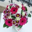 This arrangement is pure delight, capturing the cheerful, vibrant character of Grove Park with every bloom. Radiant hot pink Gerberas hold the spotlight, their petals open wide in exuberant invitation under clear daylight. Around them, magenta-and-white chrysanthemums add dynamic flair, their lime-green centres glowing brightly with life and optimism-like a stroll through Chiswick House's blossoming grounds. Creamy white roses soften the palette, their elegant spirals adding sophistication and a gentle, lingering fragrance. Delicate sprays of baby's breath drift through the bouquet, reminiscent of the first mist over Grove Park each spring, creating a sense of gossamer lightness. Lush green leaves provide structure and depth, rooting the lively display firmly in its lush, seasonal context. The bouquet sits atop a pristine white surface, the background melting into soft focus with the hint of a decorative iron railing-evoking the charm of local terraced homes. A small white tag peeks in, inviting a personal message or warm greeting. This abundant bouquet brims with happiness and artistry, ideal for brightening birthdays, commemorating anniversaries, or simply sharing Grove Park's natural beauty with those you cherish.